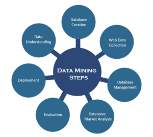Data Mining Services 